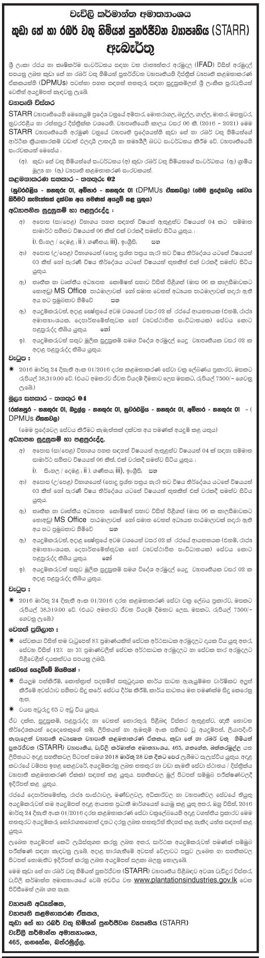 Management Assistant, Financial Assistant - Ministry of Plantation Industries